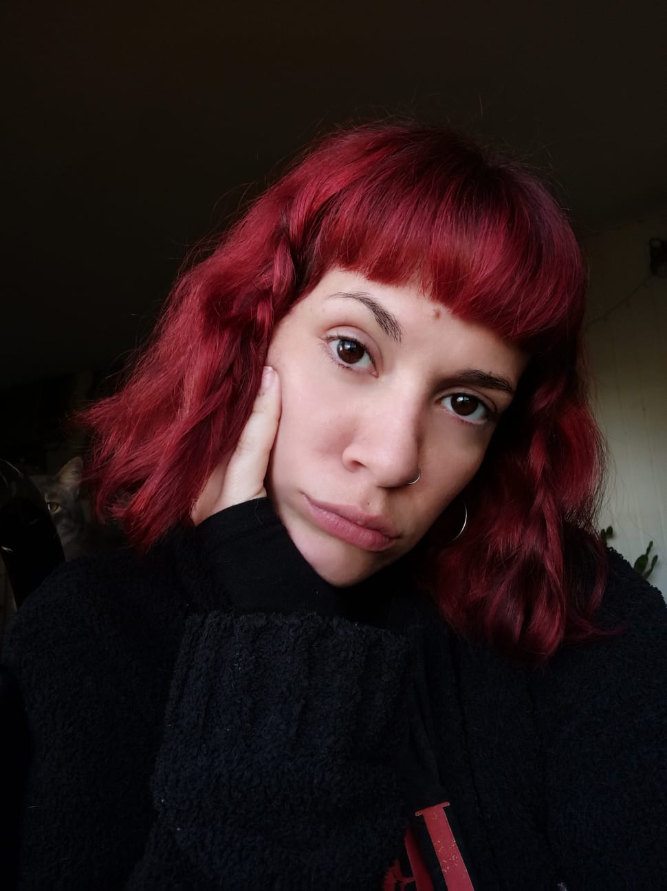 Foto de Amapola — foto 23